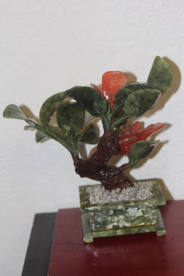 Jade Tree - 3