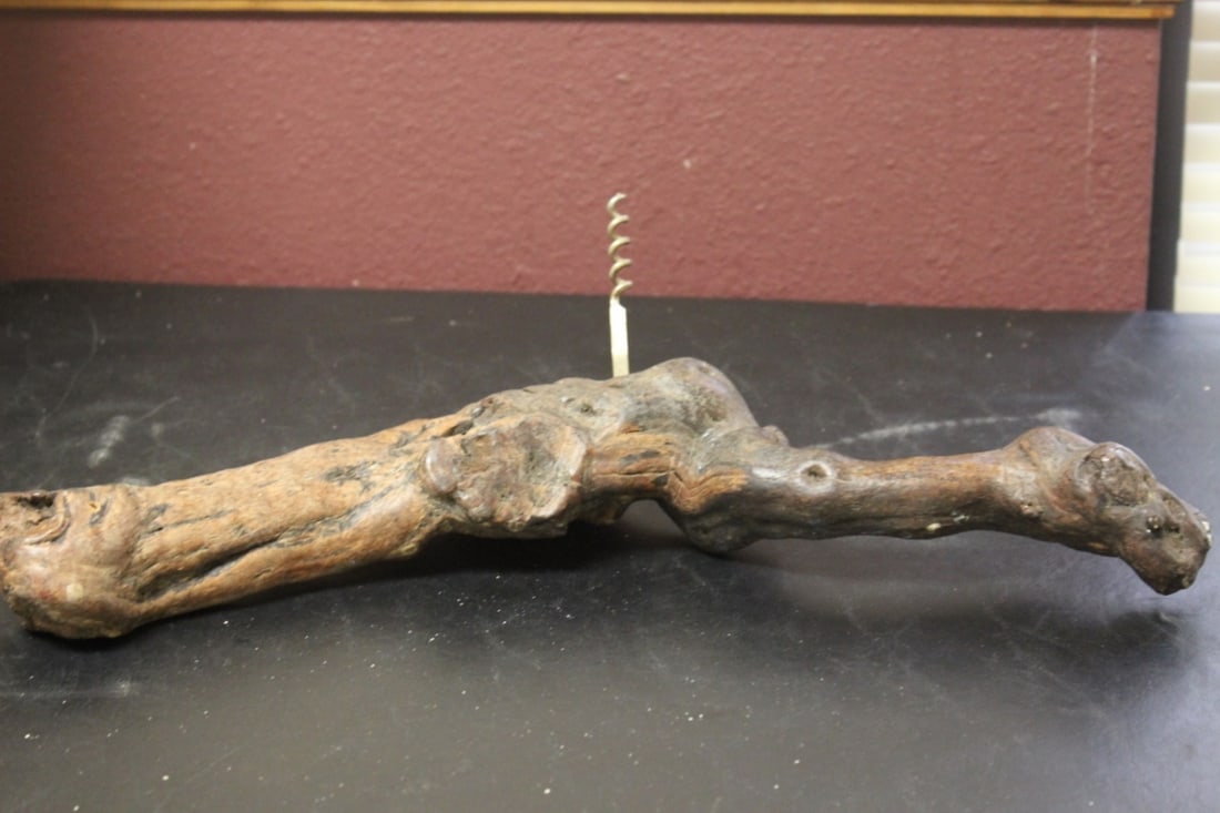 A Drift Wood Art: Straight line measures at 17 1/2"