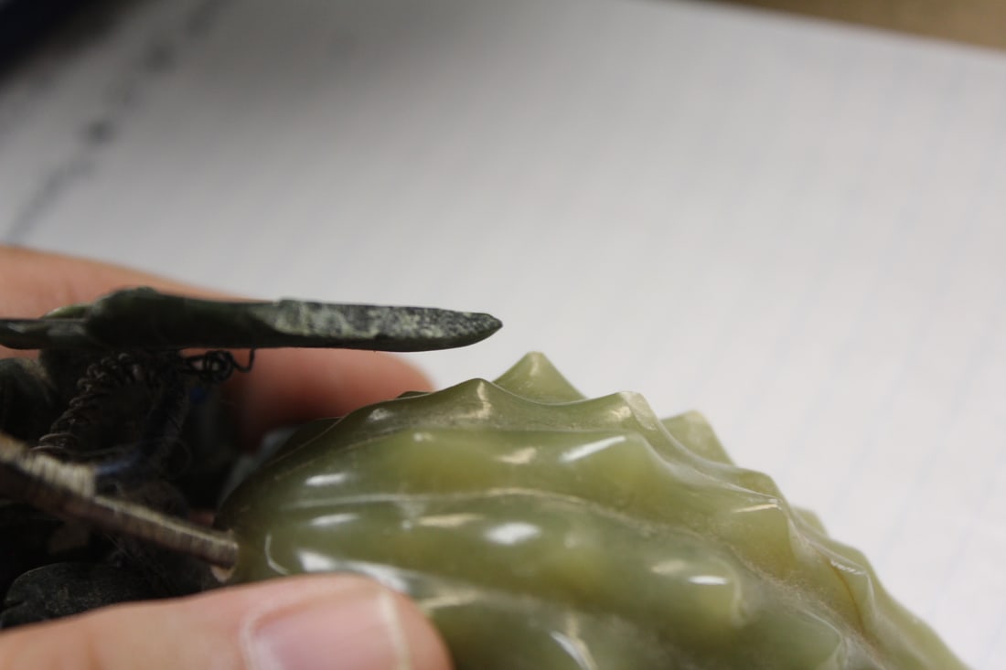 Chinese Jade Fruit - 2