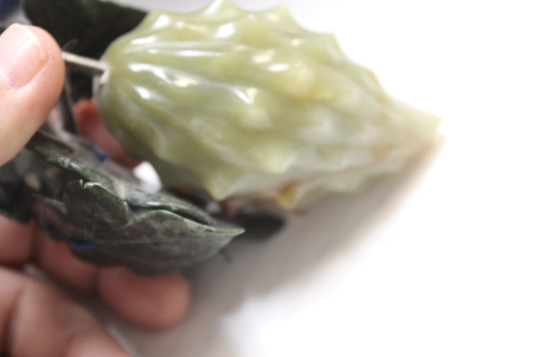 Chinese Jade Fruit - 3