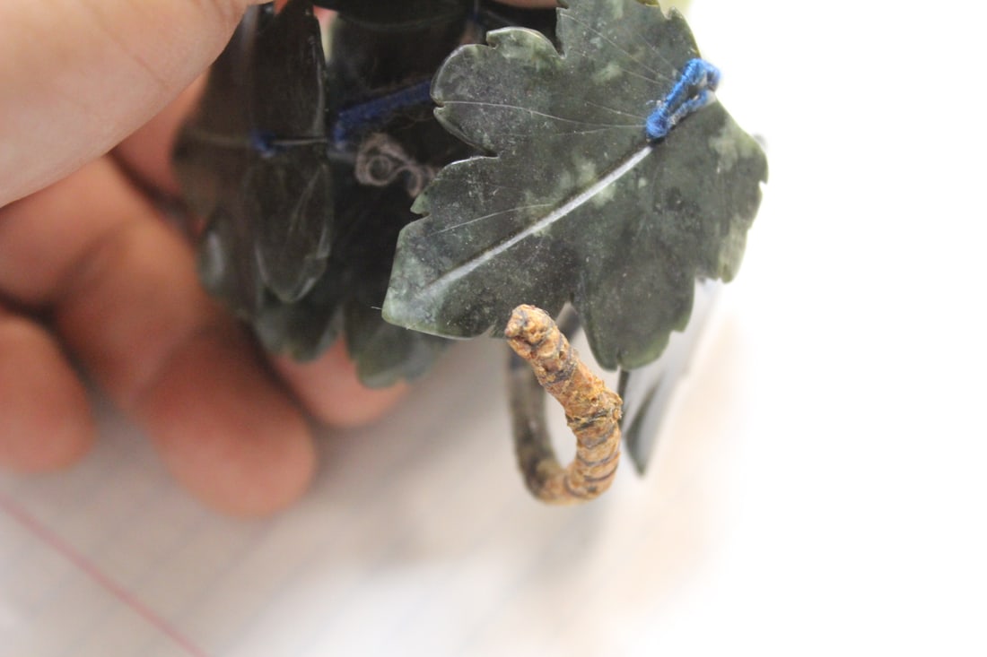 Chinese Jade Fruit - 7