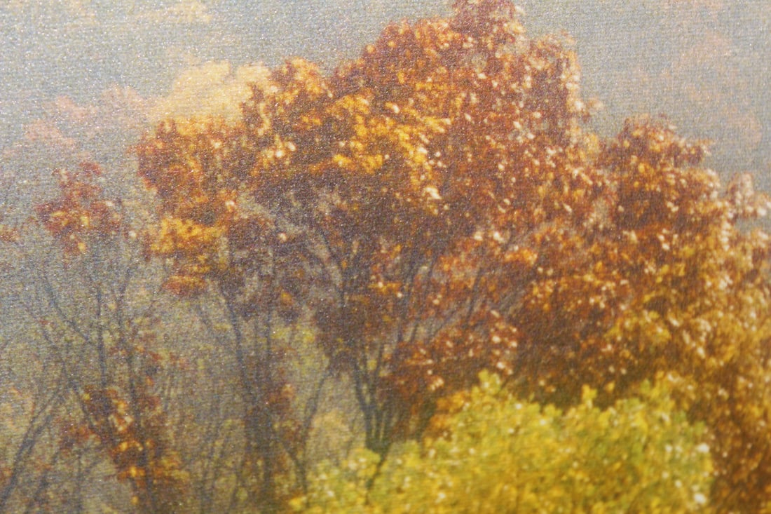 Framed Print on Canvas - 2