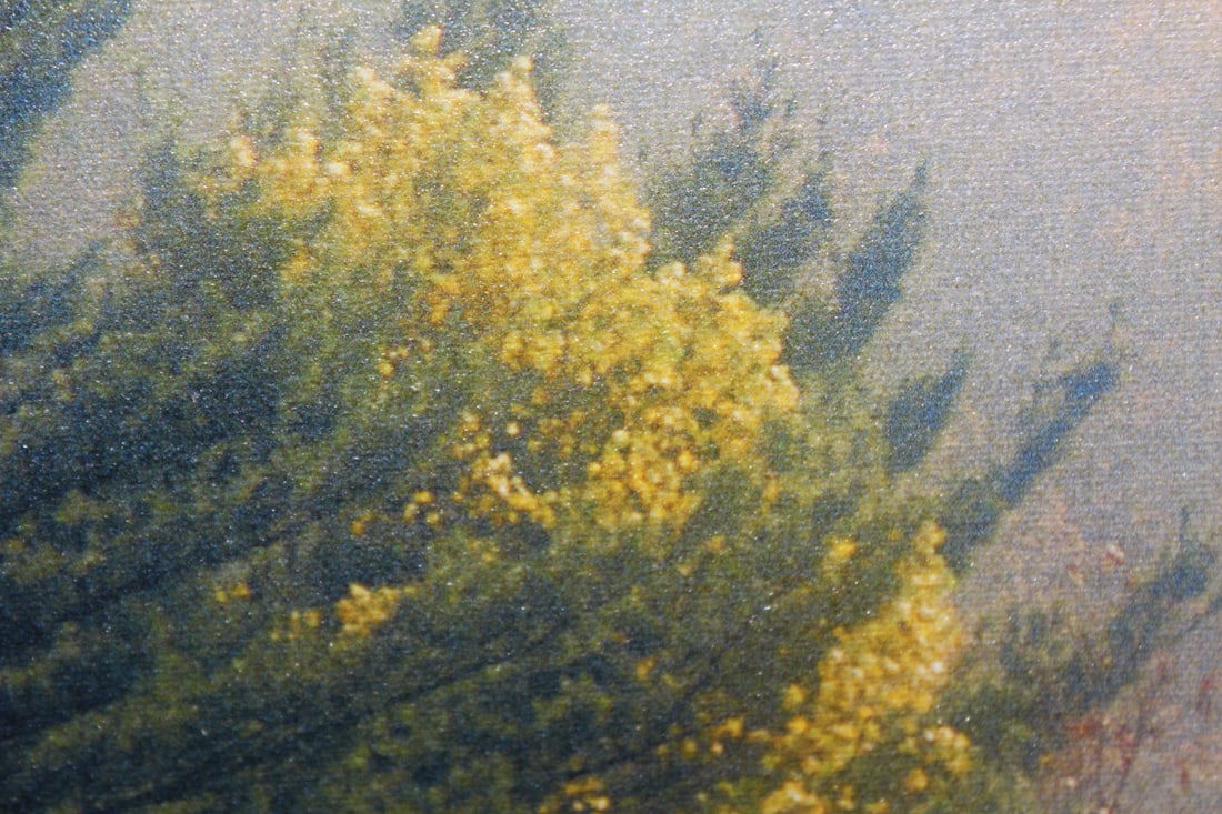 Framed Print on Canvas - 3