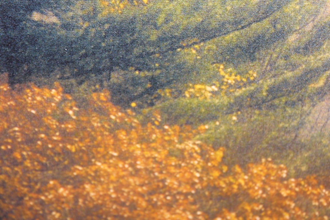 Framed Print on Canvas - 4