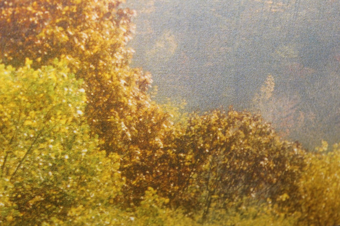 Framed Print on Canvas - 5