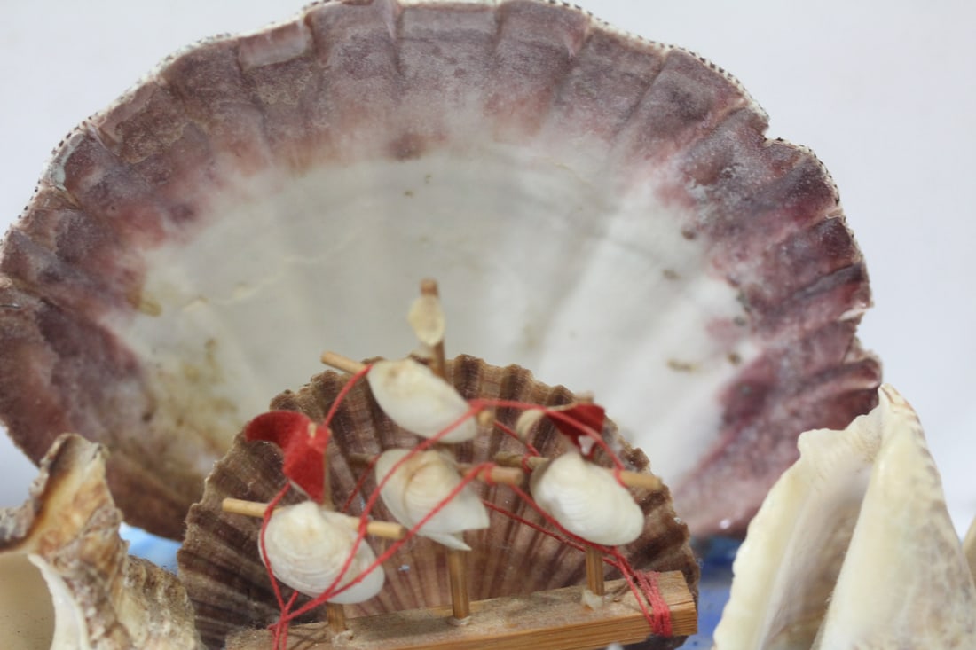 A Shell Art - 3