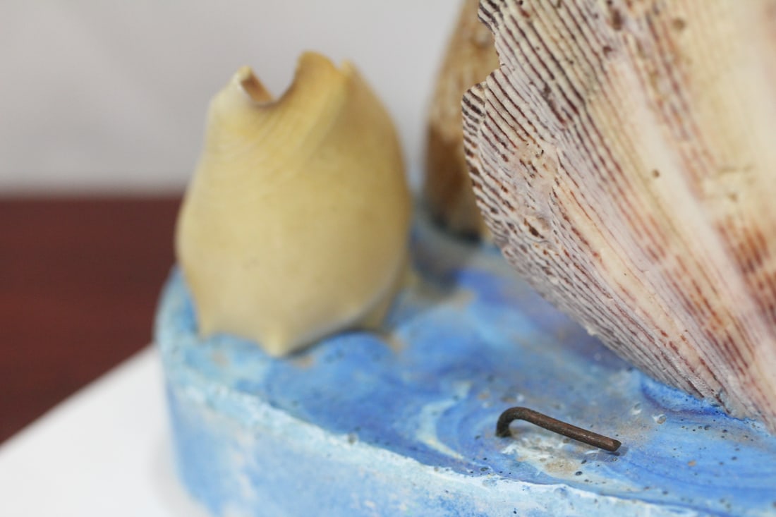 A Shell Art - 9
