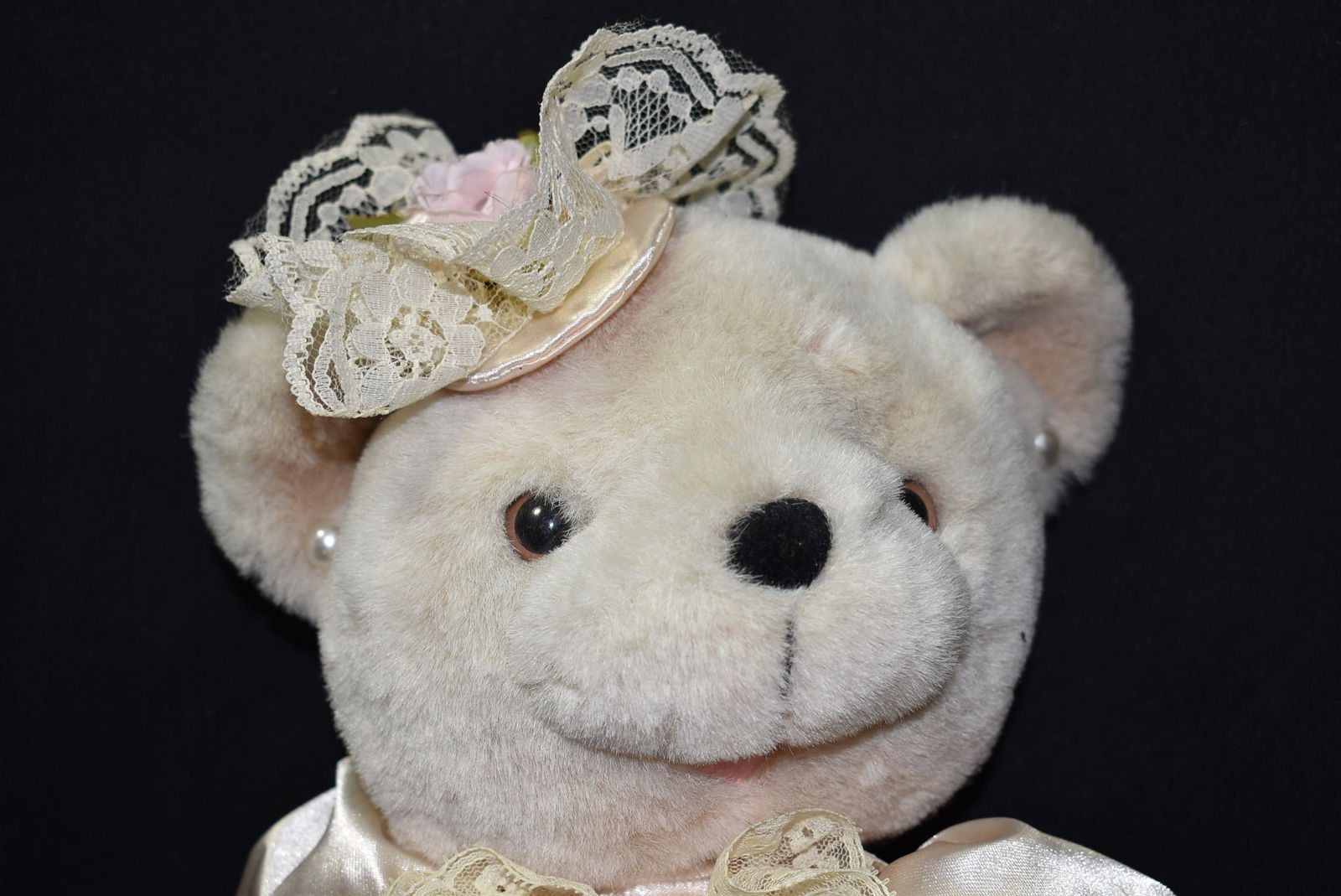 A Cute Teddy Bear - 10