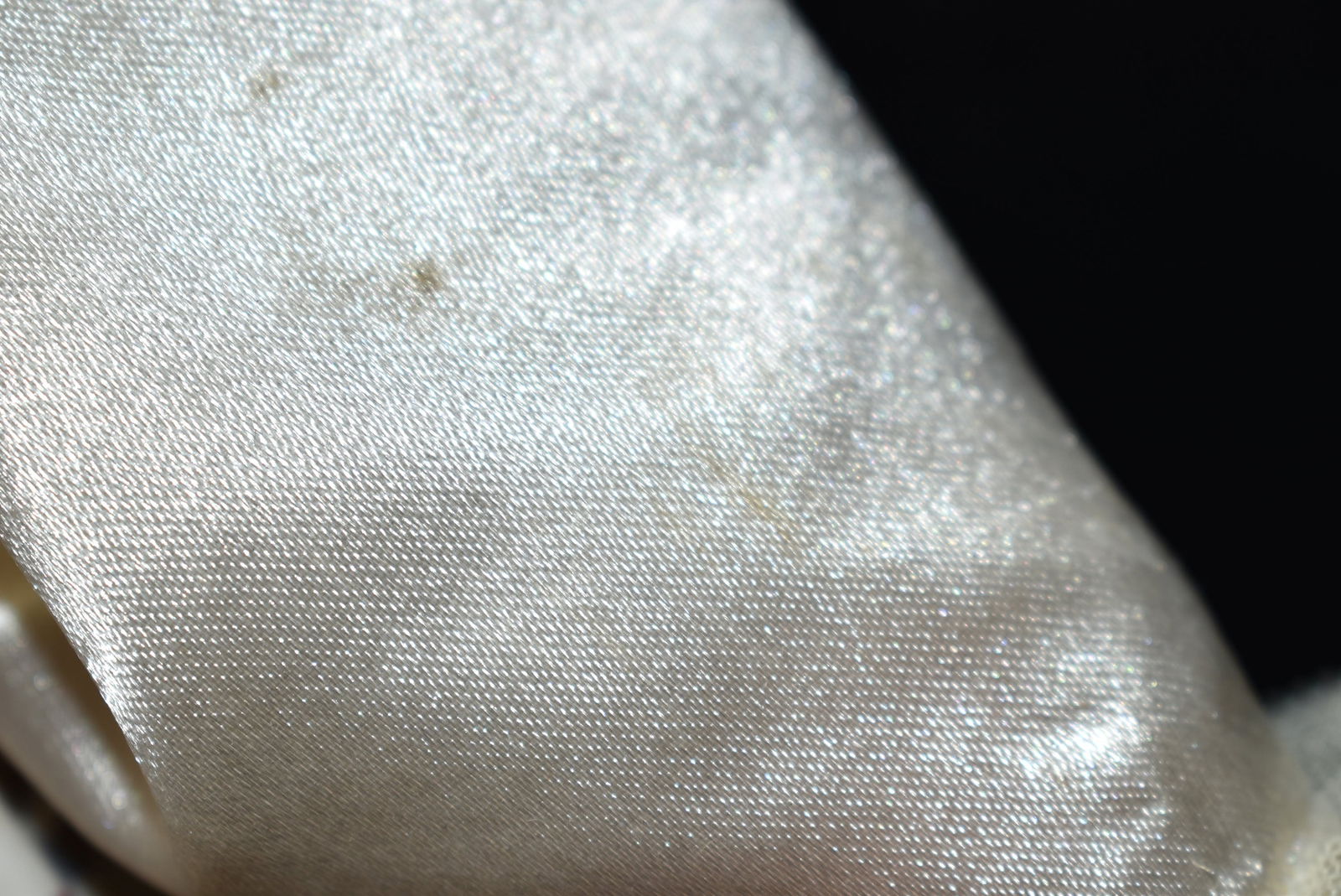 A Cute Teddy Bear - 6