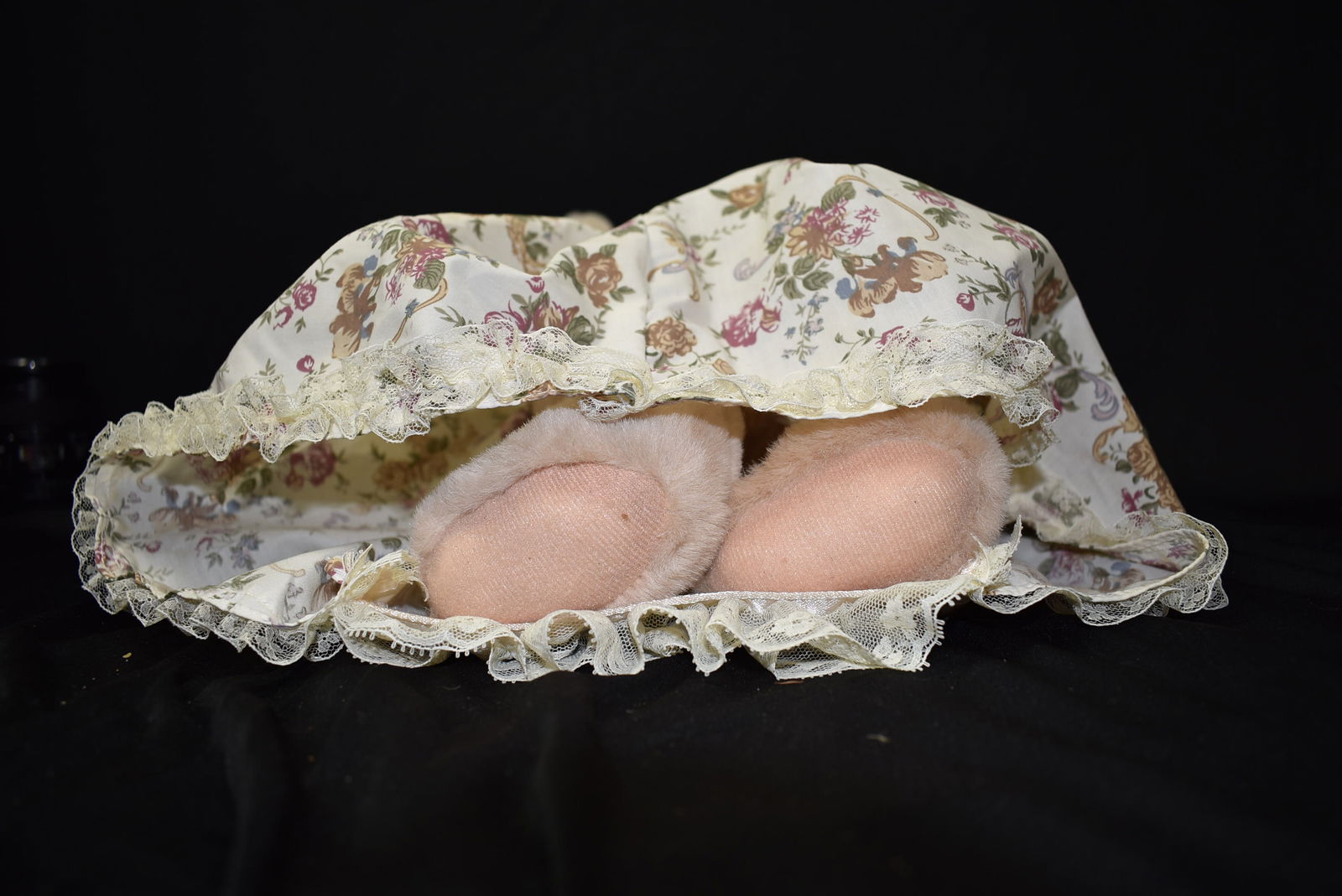 A Cute Teddy Bear - 8