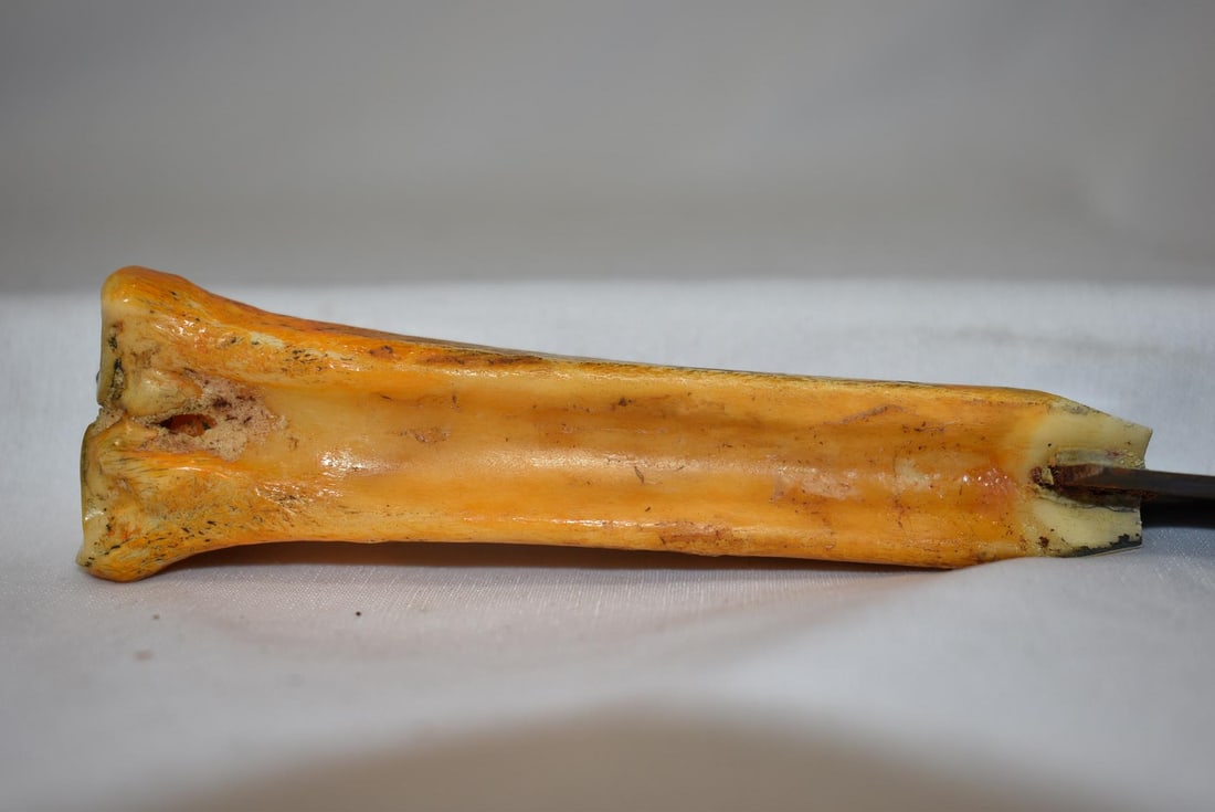 A Bone Handle Knife - 3