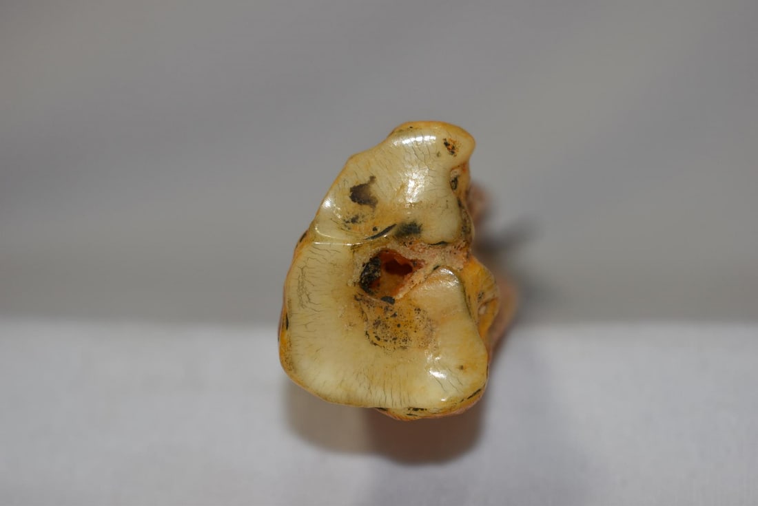 A Bone Handle Knife - 4