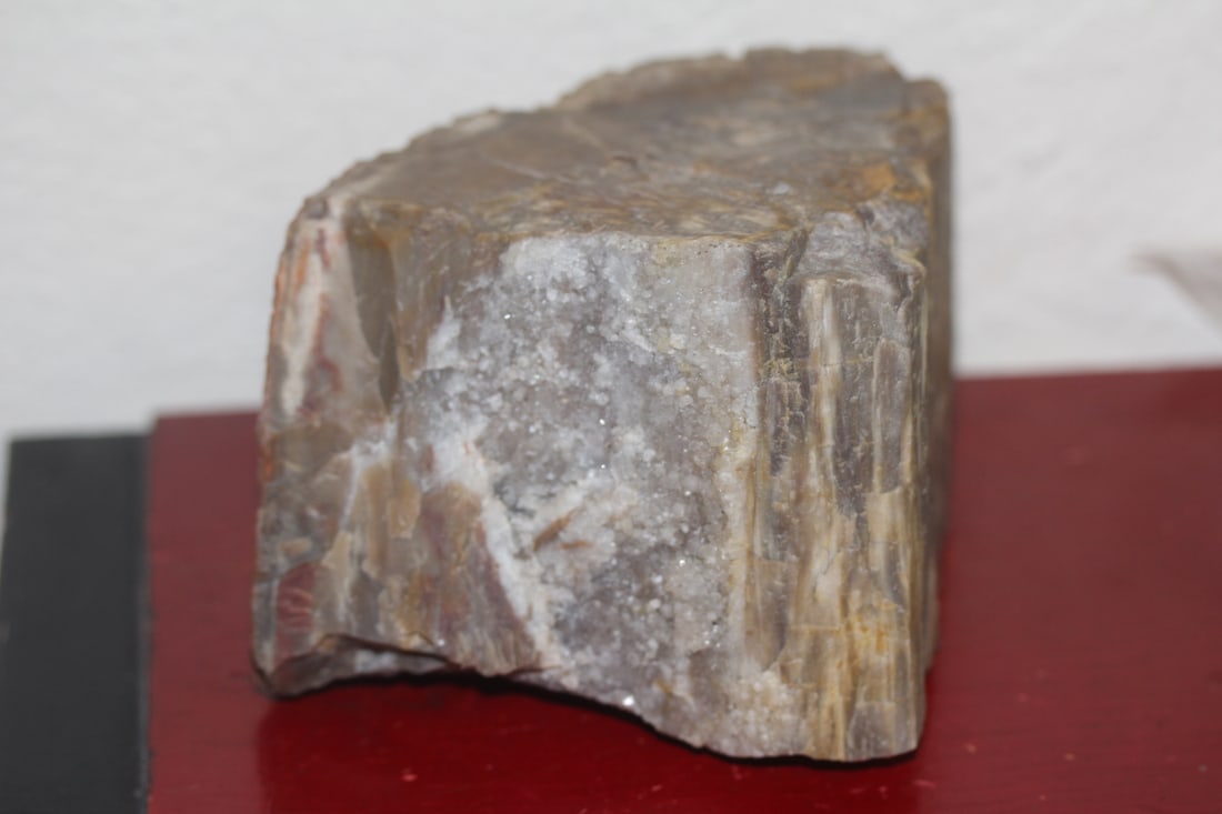 Petrified Wood Fossil Piece: irregular shade - approximately 5.3 pounds