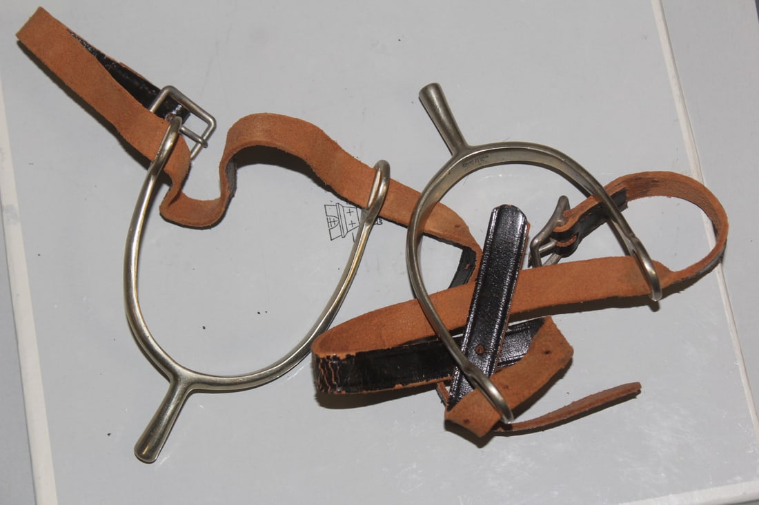 Pair of Spurs: as shown