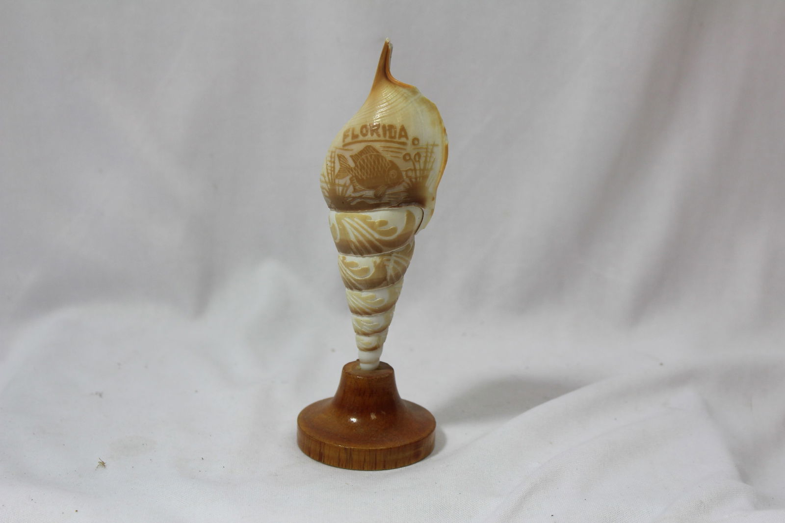 A Shell Art: 6 inches tall