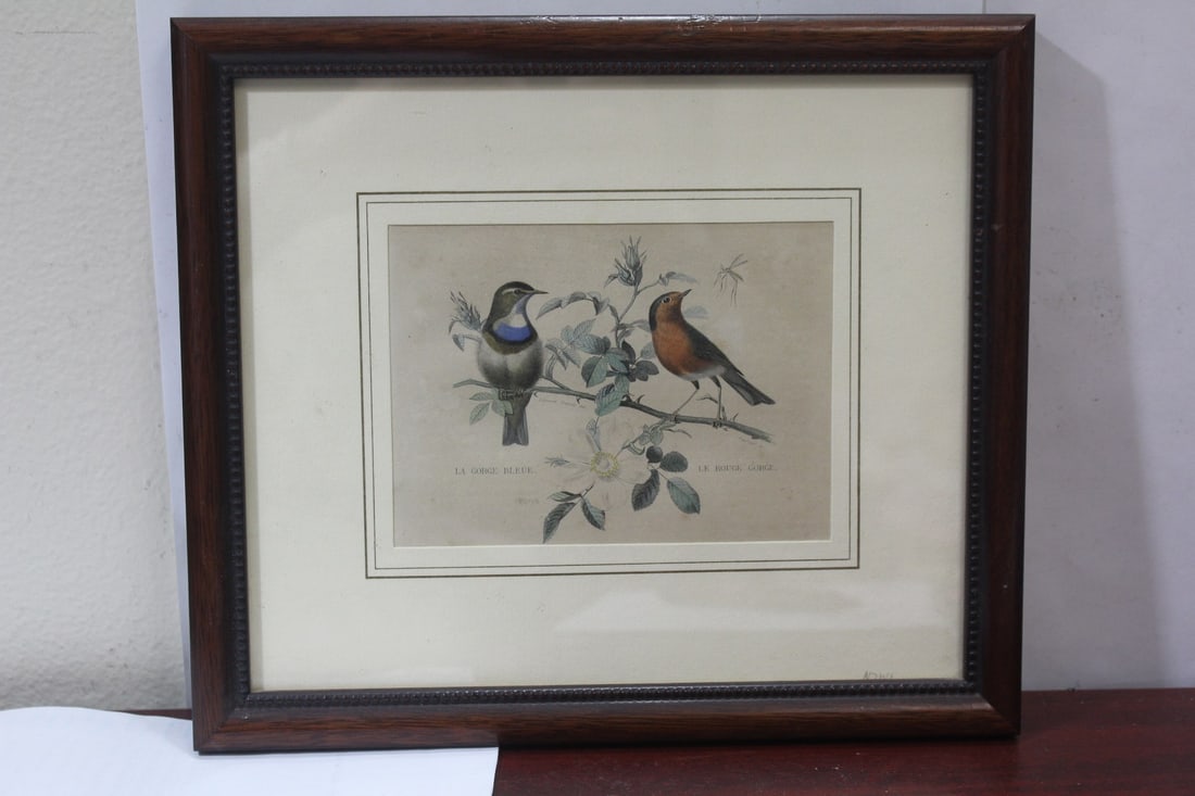 A Bird Print or Engraving (1 of 5)