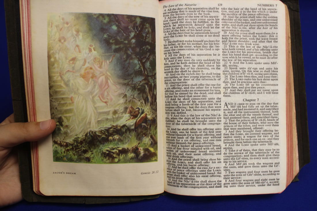 Holy Bible - 7