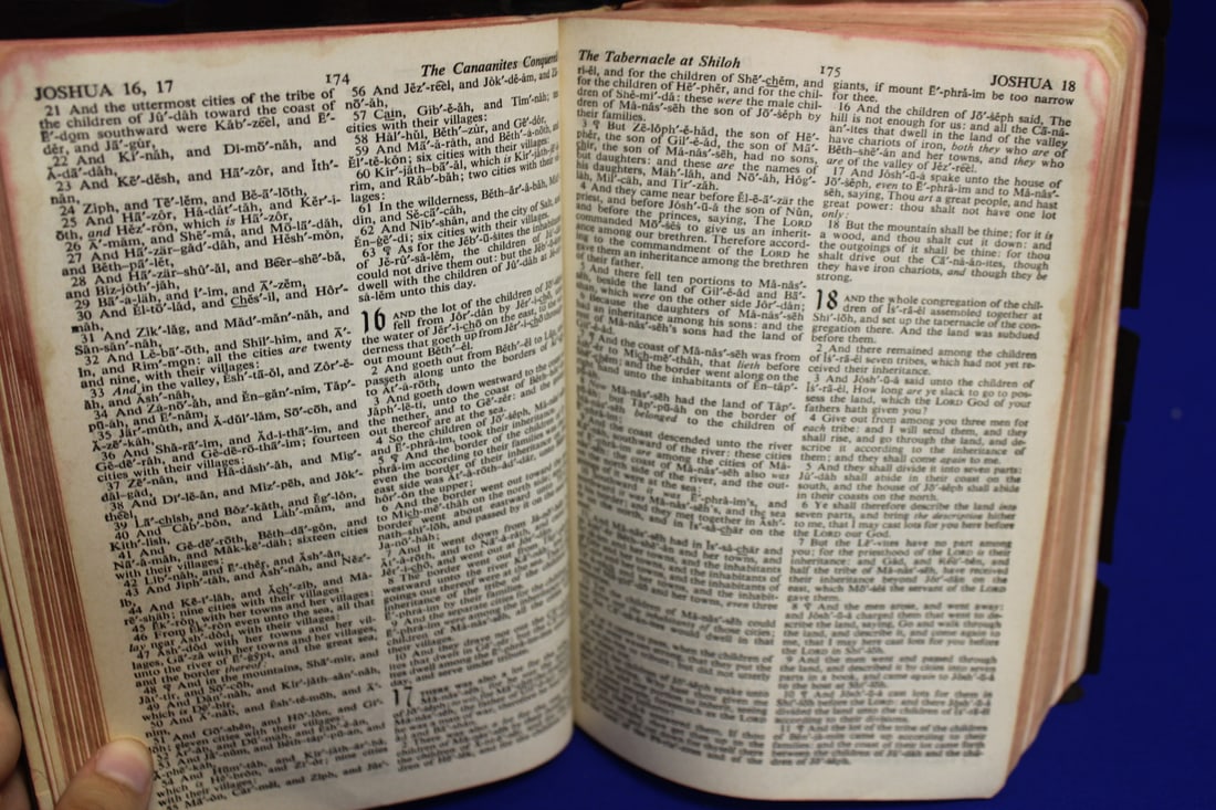 Holy Bible - 6