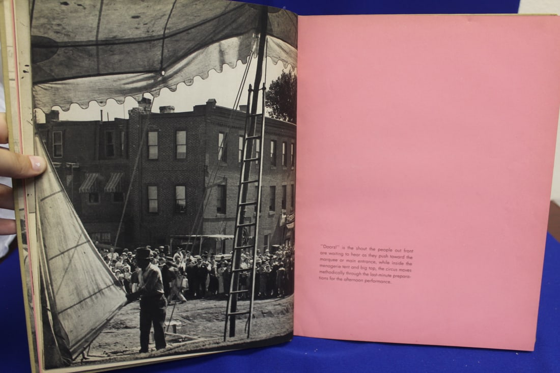 Hardcover Book: Pink Lemonade - 4