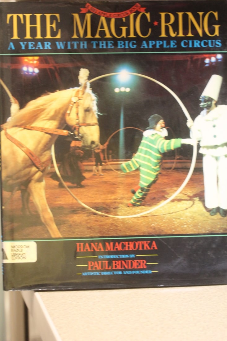 Hardcover Book: The Magic Ring: with dust jacket 