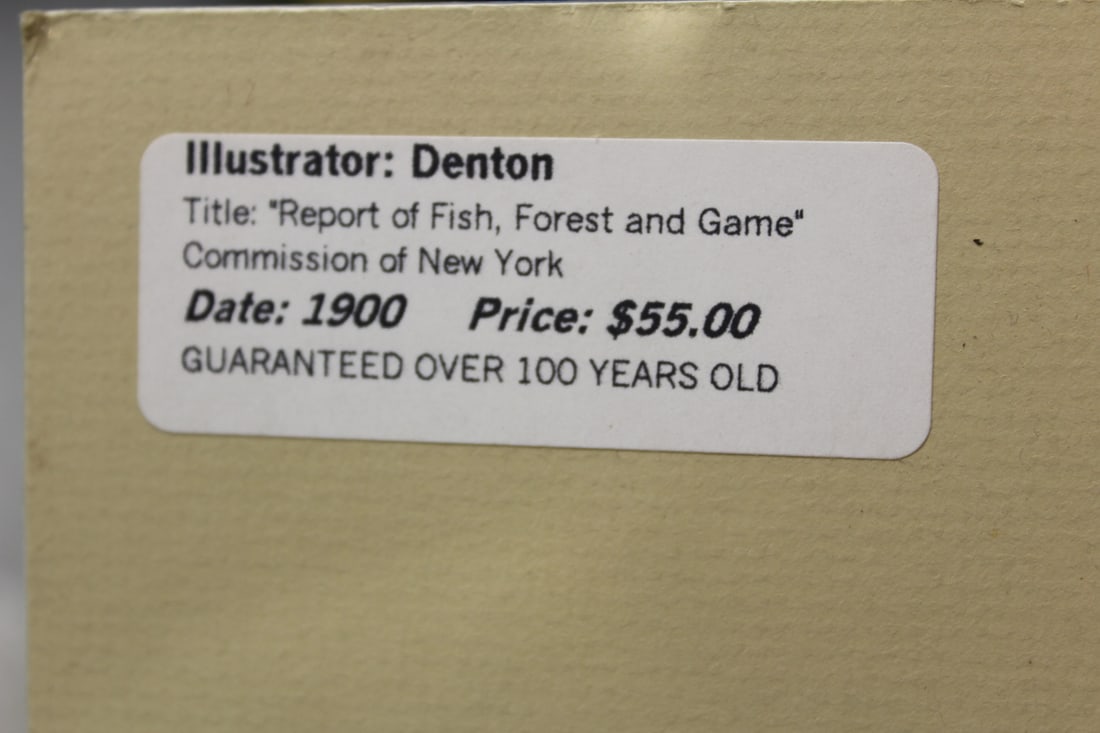 Denton Fish Etching/Illustration - 3