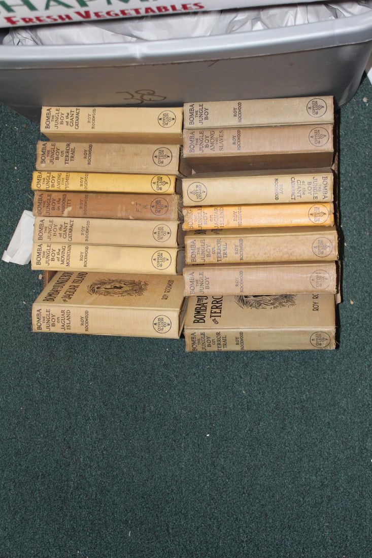 Lot of 14 Hardcover Bomba the Jungle Boy Books: as shown 