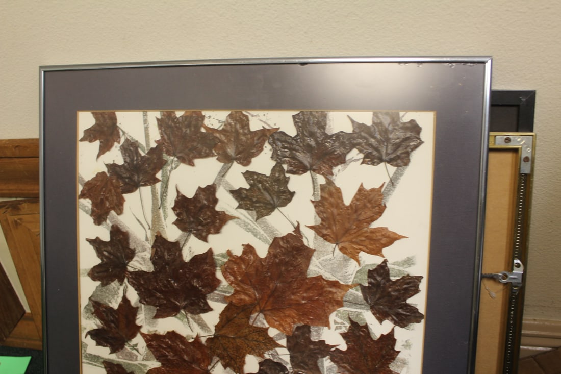 Framed Leaves - 2