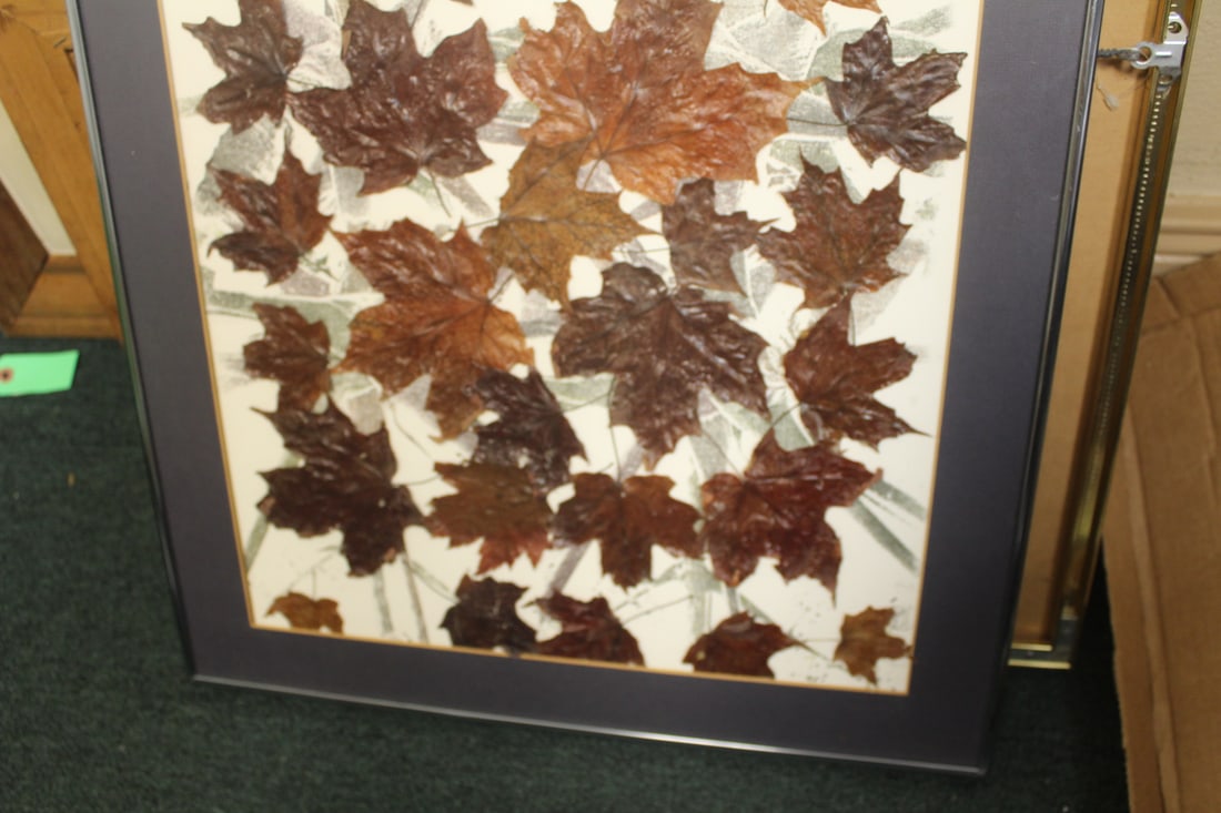 Framed Leaves - 4
