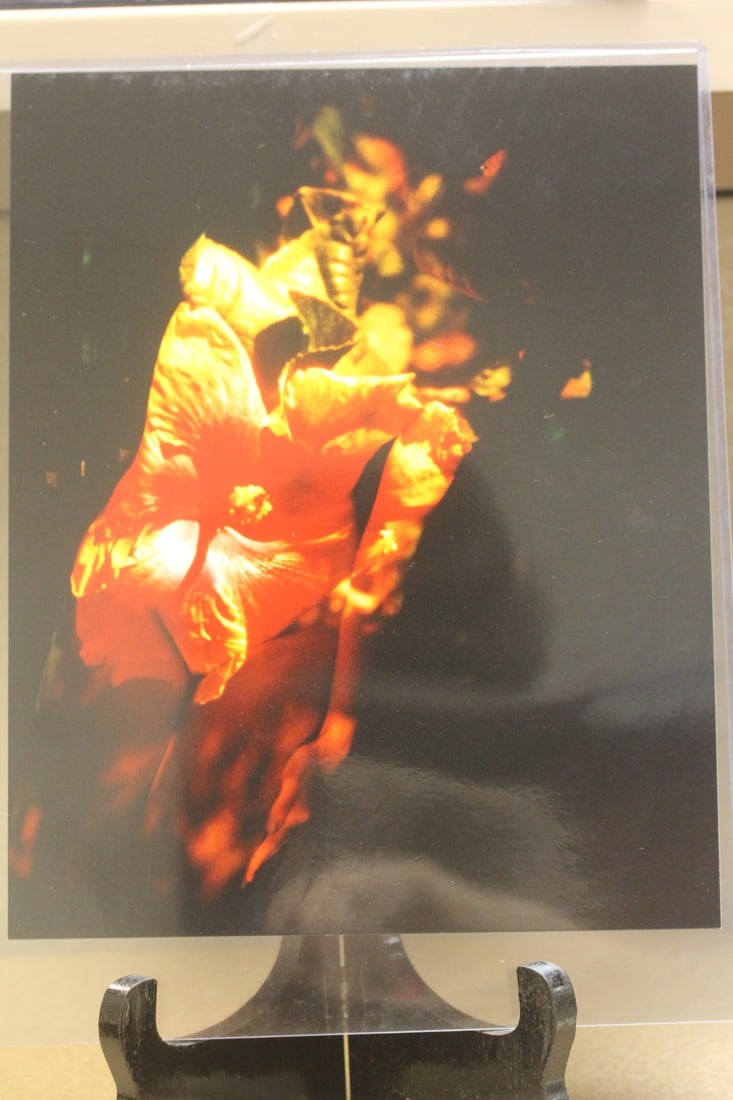 Photograph of a Nude Stereotype: appeared to be an original colour photograph gloss finish - 8" x 10" 