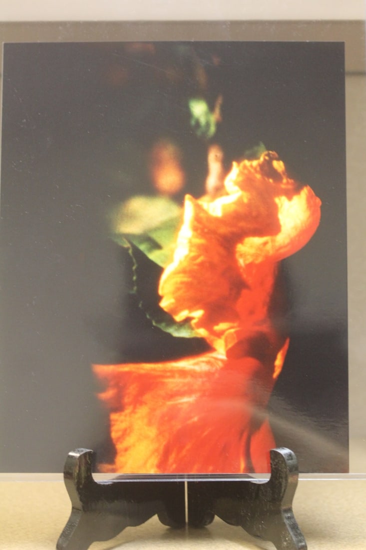 Photograph of a Nude Stereotype: appeared to be an original colour photograph gloss finish - 8" x 10" 