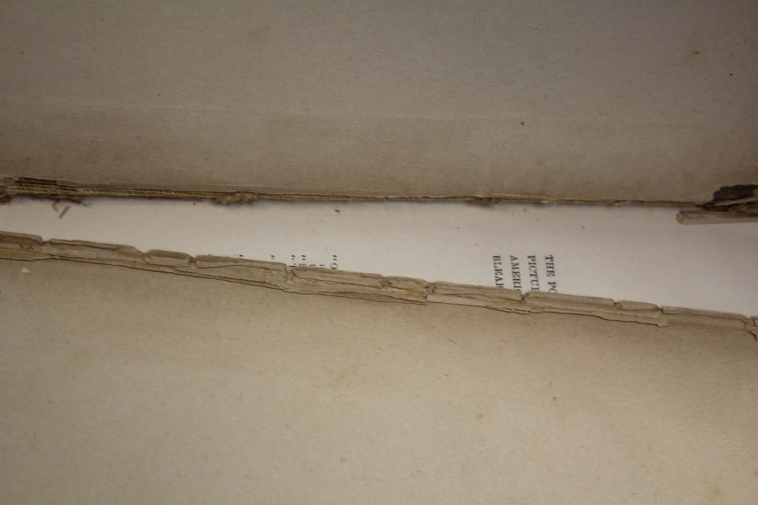 1870 Hardcover Book on the Dickens - 4