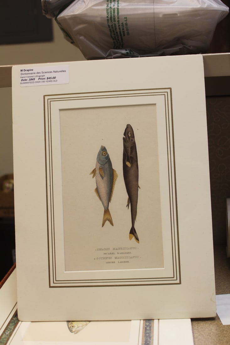 M. Drapiez Lithograph: overall= 10" x 13 1/4" 