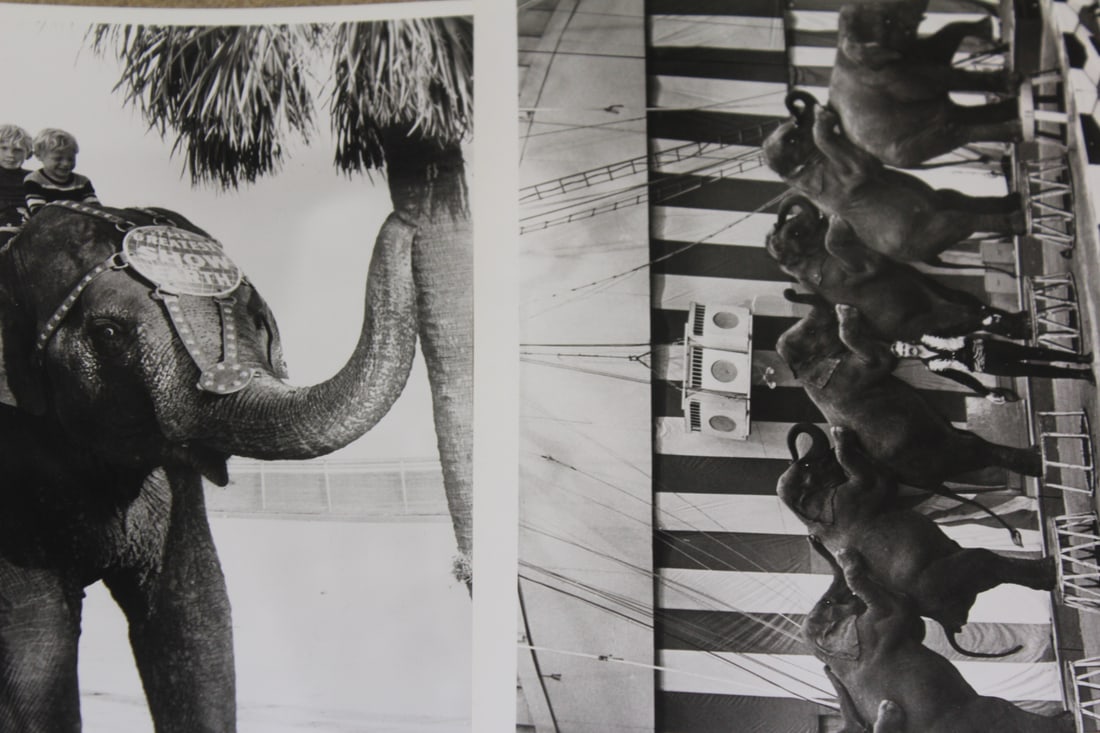 Ringling brothers pamphlets - 3