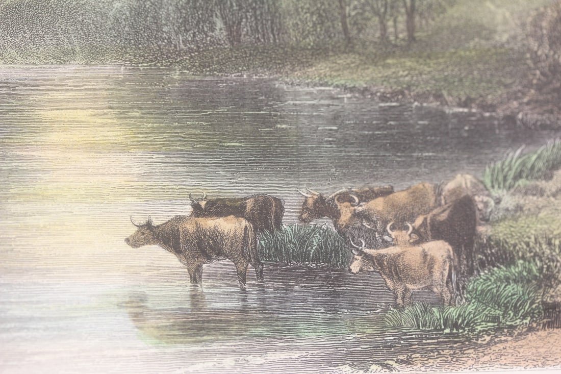 Antique Steel Engraving - 3