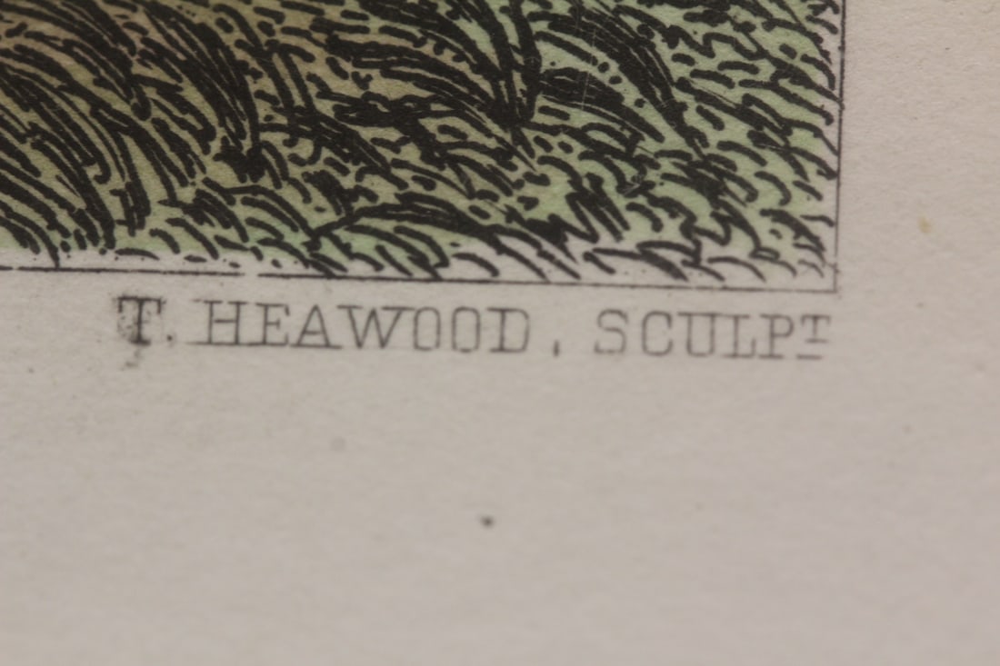 Antique Steel Engraving - 4