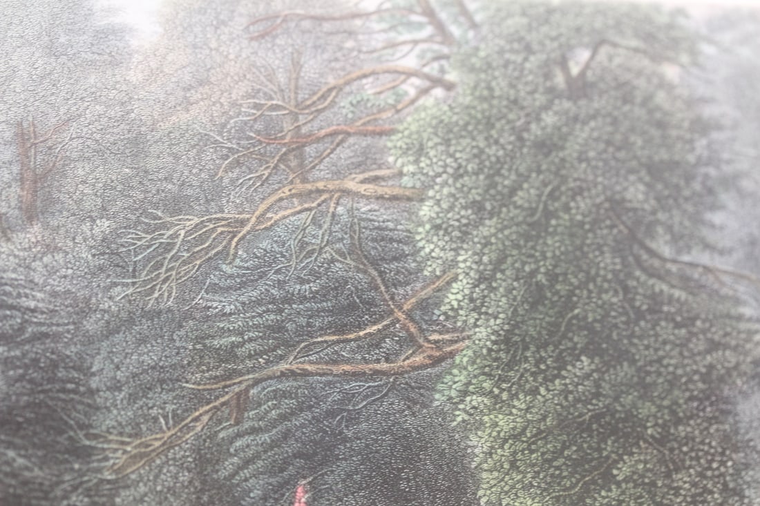 Antique Steel Engraving - 7