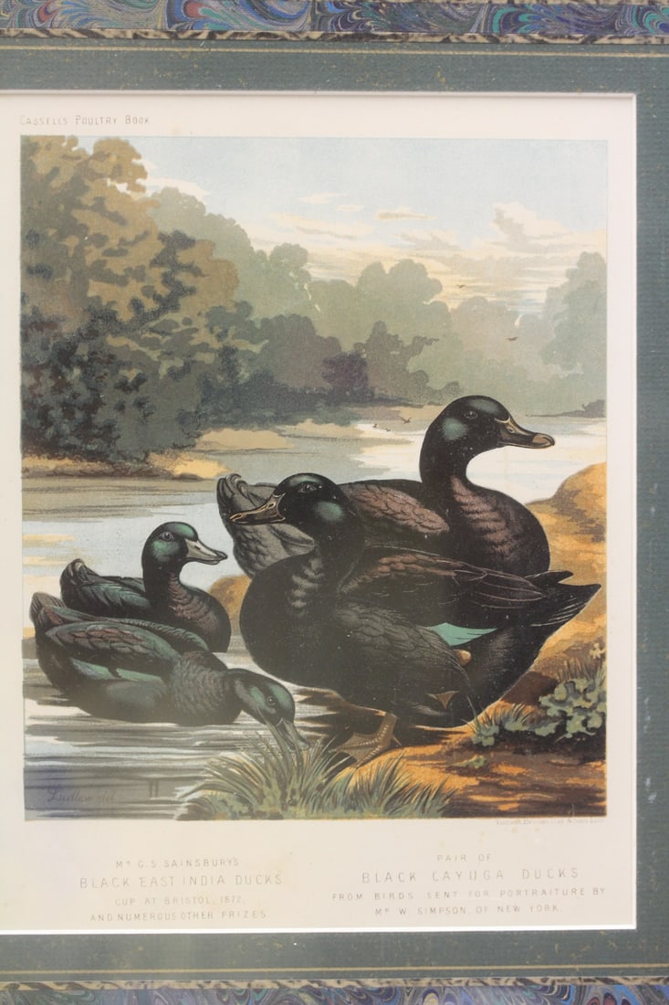 Antique Steel Engraving: unframed 