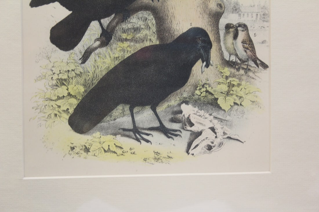 Antique Steel Engraving - 2