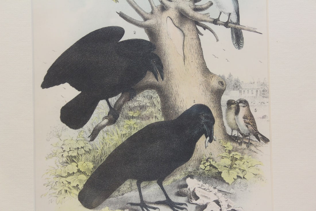 Antique Steel Engraving - 3