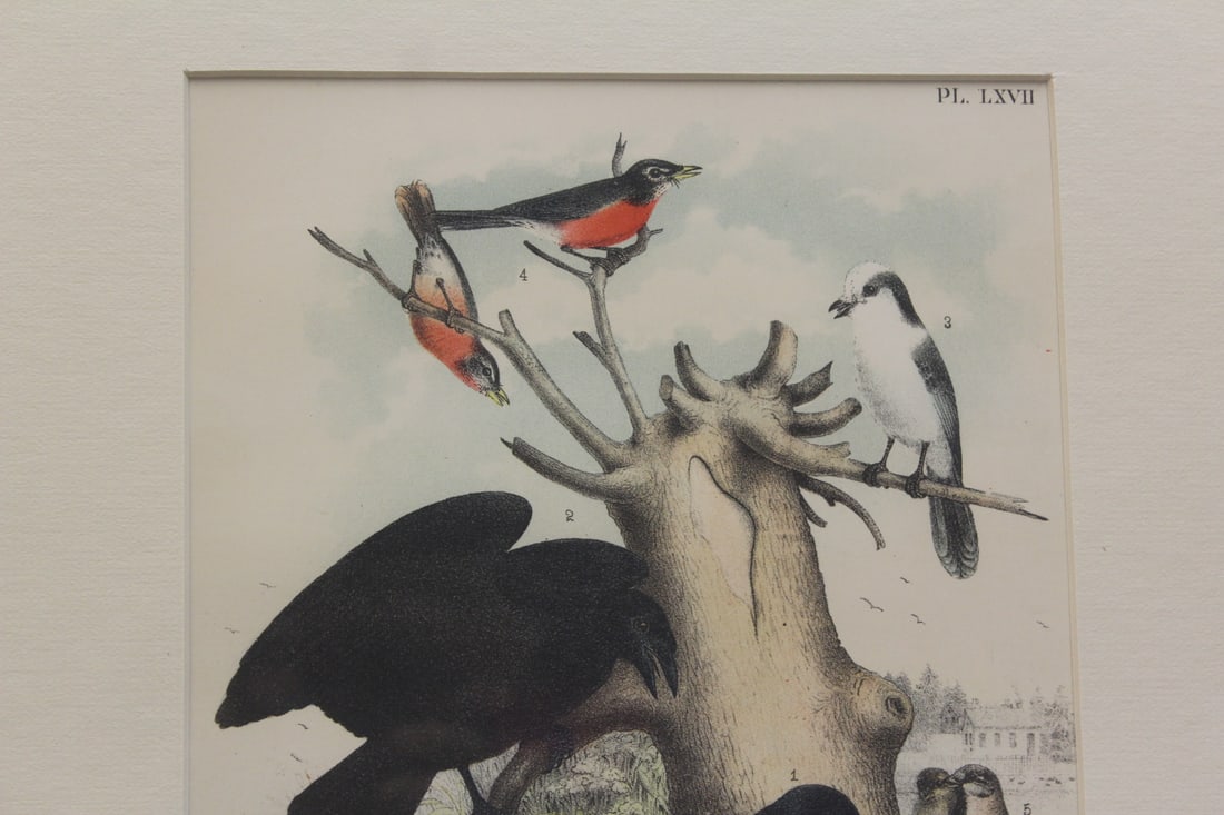 Antique Steel Engraving - 4