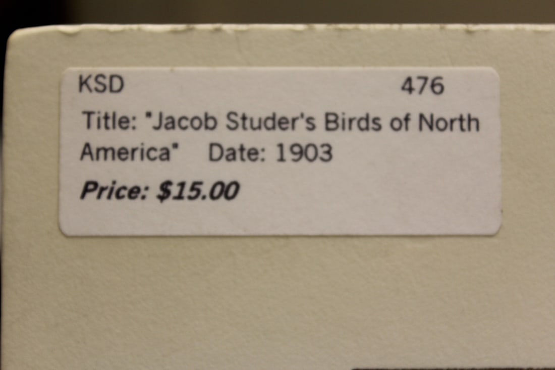 Antique Steel Engraving - 5