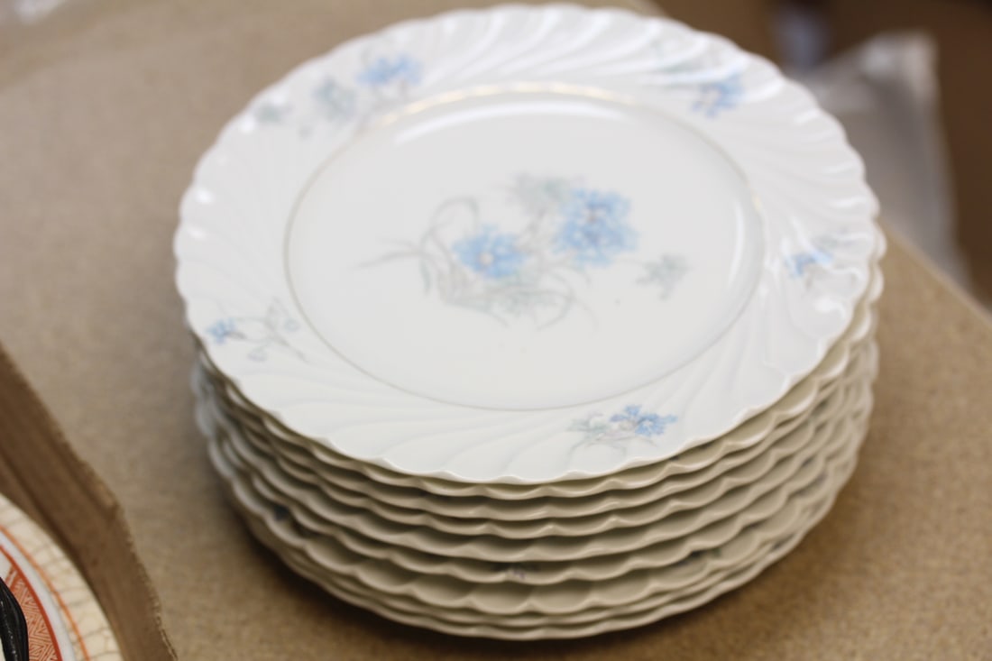Set of 9 Limoges Salad Plates: 7 3/4" in diameter each - some have worn