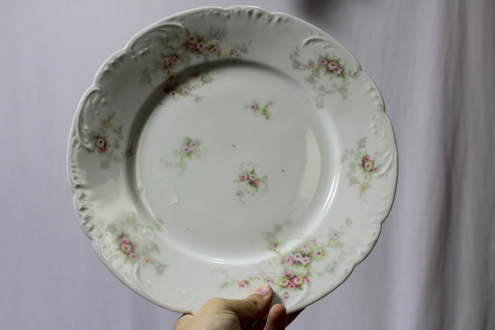 A Limoges Plate: 10" in diameter