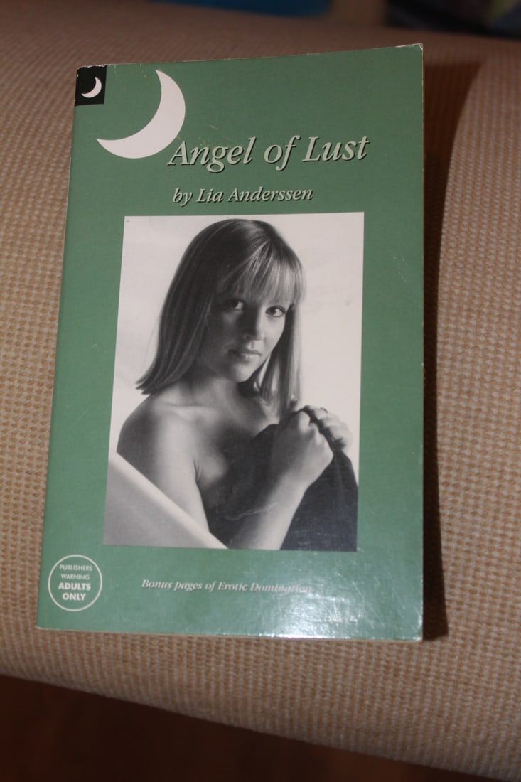 Risque Novel: for adults only - paperback