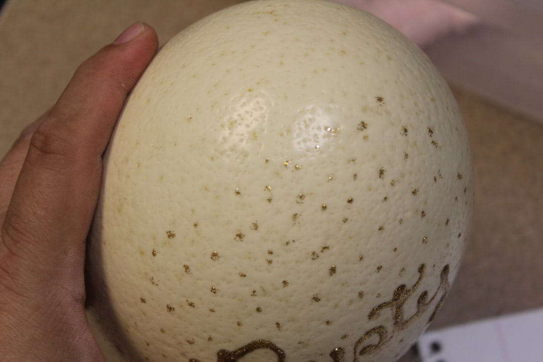 Ostrich Egg - 4