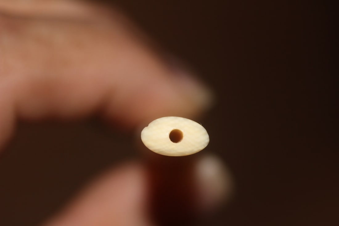 Bone Cigarette Holder - 3