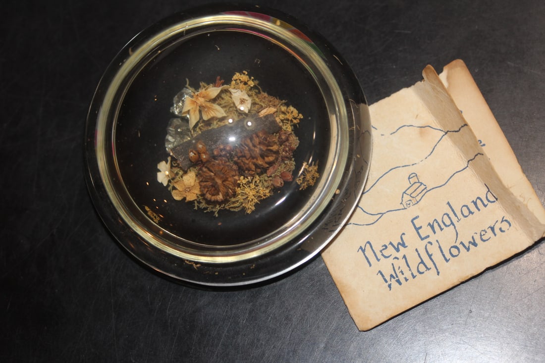 New England Wild Flower Paperweight: 3 inches across