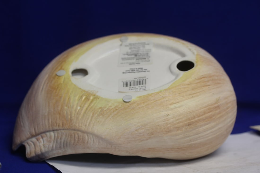 Shell Form Bowl? - 5