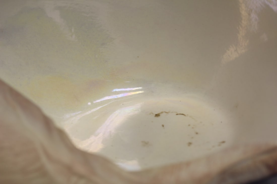 Shell Form Bowl? - 7