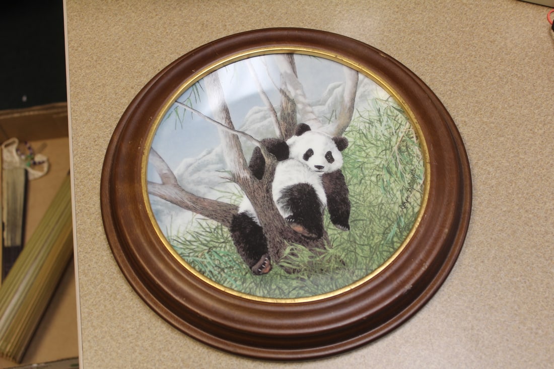 Framed Panda Collector's Plate: by Joyce Bridgett - overall= 11 inches in diameter